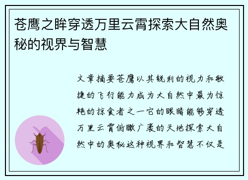 苍鹰之眸穿透万里云霄探索大自然奥秘的视界与智慧